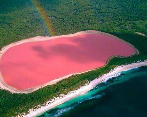 Misteri Danau Hillier: Alasan Ilmiah Mengapa Air Danau di Australia Ini Berwarna Merah Muda Alami